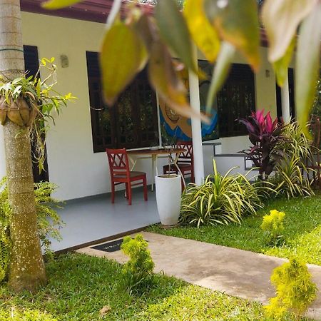 Eco Nest Marakolliya Bed & Breakfast Tangalle Ngoại thất bức ảnh