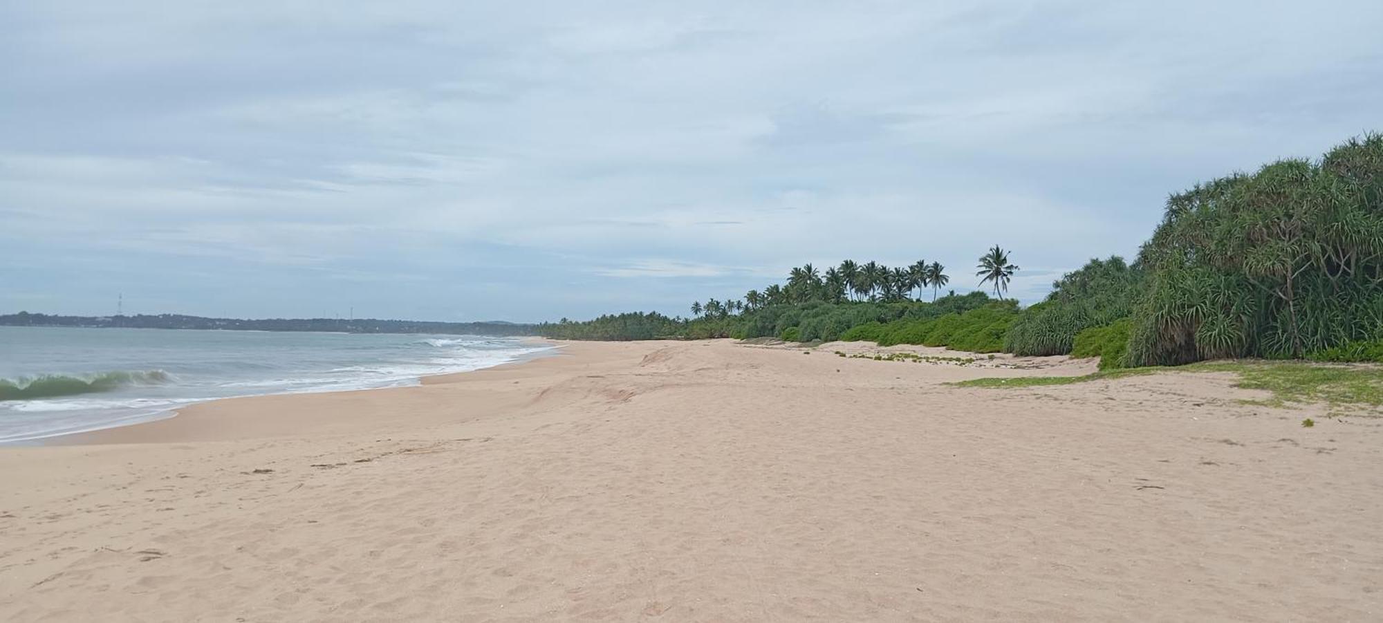 Eco Nest Marakolliya Bed & Breakfast Tangalle Ngoại thất bức ảnh