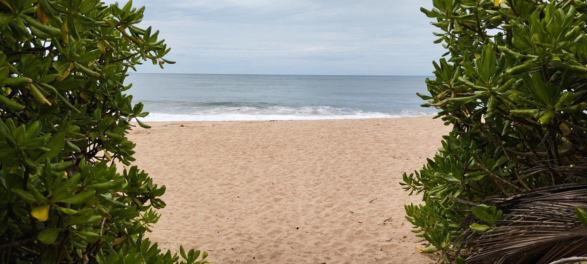 Eco Nest Marakolliya Bed & Breakfast Tangalle Ngoại thất bức ảnh