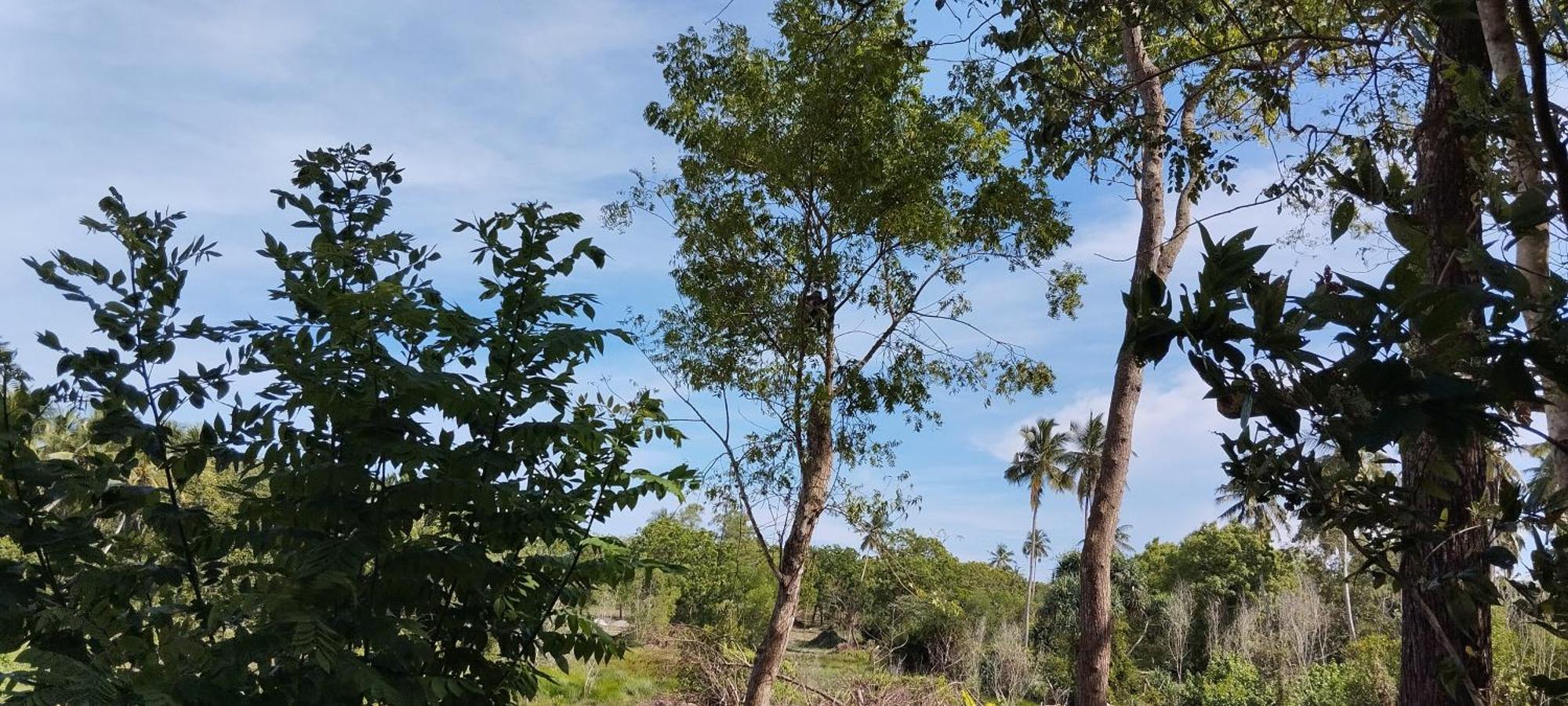 Eco Nest Marakolliya Bed & Breakfast Tangalle Ngoại thất bức ảnh