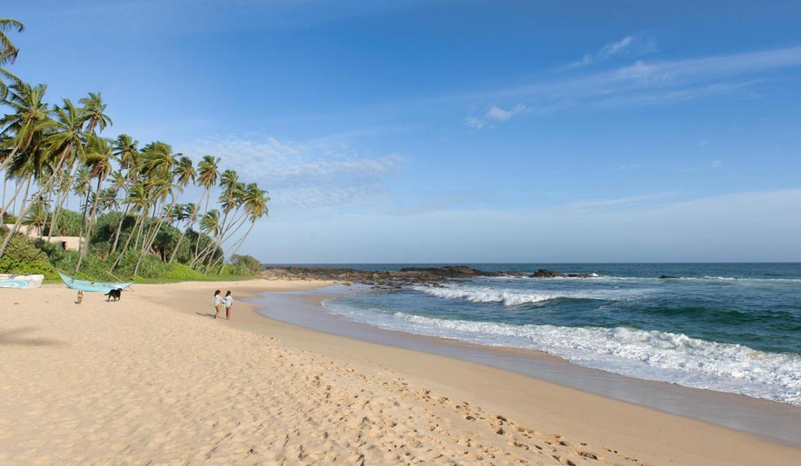 Eco Nest Marakolliya Bed & Breakfast Tangalle Ngoại thất bức ảnh