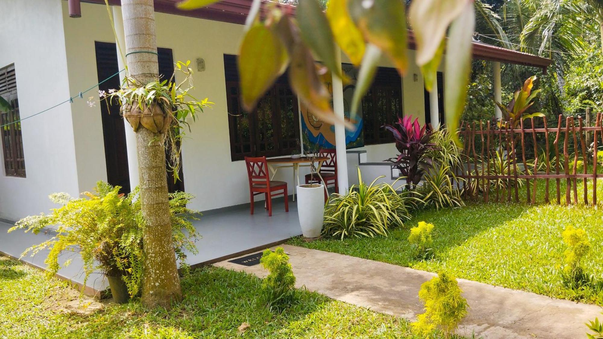Eco Nest Marakolliya Bed & Breakfast Tangalle Ngoại thất bức ảnh